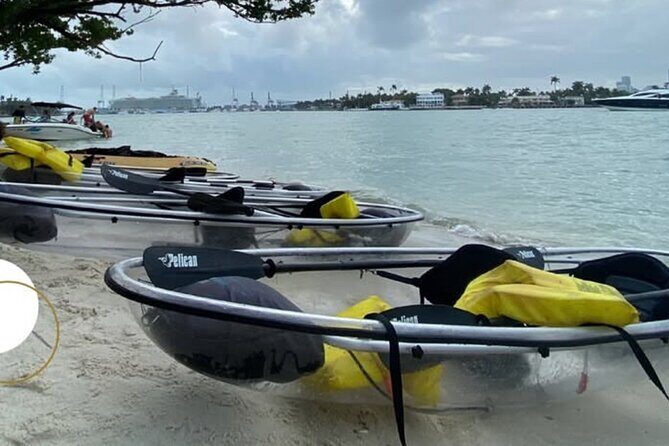 Clear Kayak Tour in South Miami Beach and Biscayne Bay - Key Points