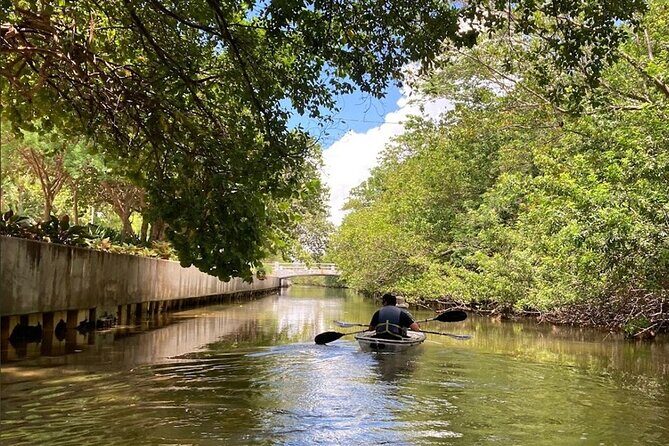 Clear Kayak Tour in South Miami Beach and Biscayne Bay - Who Should Consider This Tour?