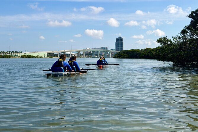 Clear Kayak Tour of Clearwater Beach - Authenticity and Overall Experience