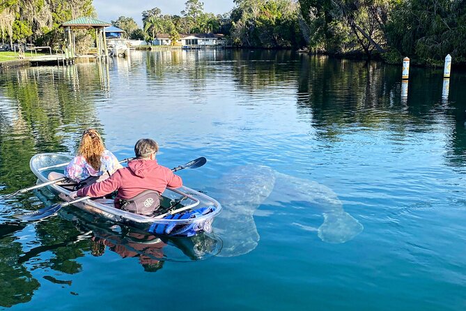 Clear Kayak Tour of Crystal River - Important Tour Information