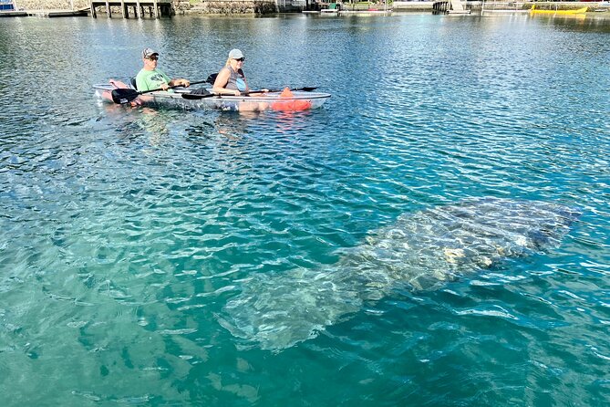 Clear Kayak Tour of Crystal River - Tour Inclusions
