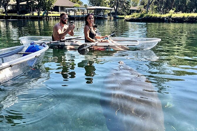 Clear Kayak Tour of Crystal River - Tips for a Memorable Experience