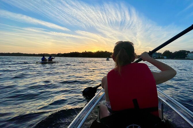 Clear Kayak Tour of Tarpon Springs | Manatee Season - Wildlife Sightings