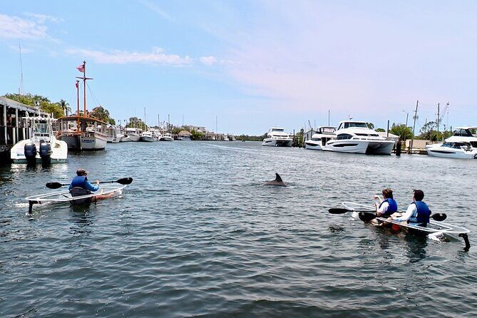 Clear Kayak Tour of Tarpon Springs Sponge Docks & Mangroves - Final Thoughts