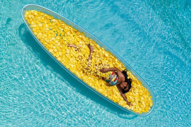 Clear Kayak with Flowers - The Sum Up