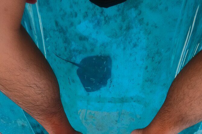 Clear Kayaking, Sea Scooters Adventure - Final Thoughts