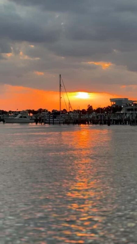 Clearwater Beach: BYOB Evening Cruise with Dolphin Sightings - FAQs