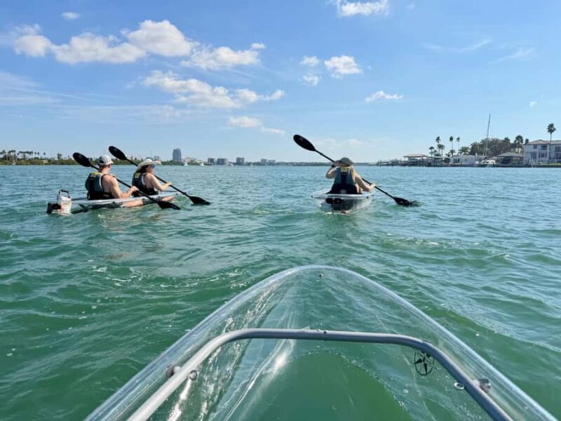 Clearwater Beach: Clear Kayak Tour with an ecotour guide - Key Points