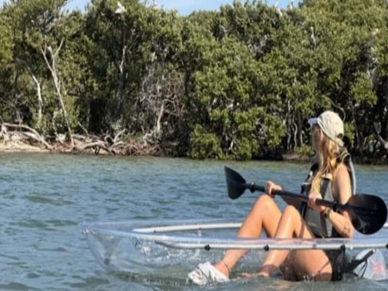 Clearwater Beach: Clear Kayak Tour with an ecotour guide - Final Thoughts