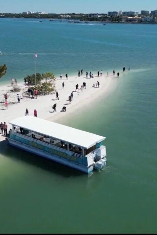 Clearwater Beach: Dolphin & Island Sandbar Cruise - Introduction: Why This Tour Stands Out