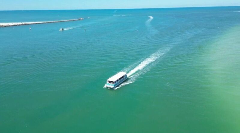 Clearwater Beach: Dolphin & Island Sandbar Cruise - The Value of This Tour
