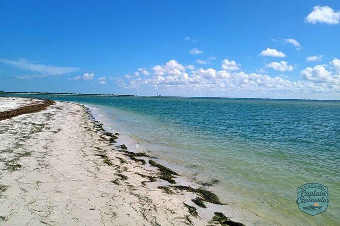 Clearwater Coastal Chill  2-Hour Private Cruise - The Sum Up: Who Should Consider This Cruise?