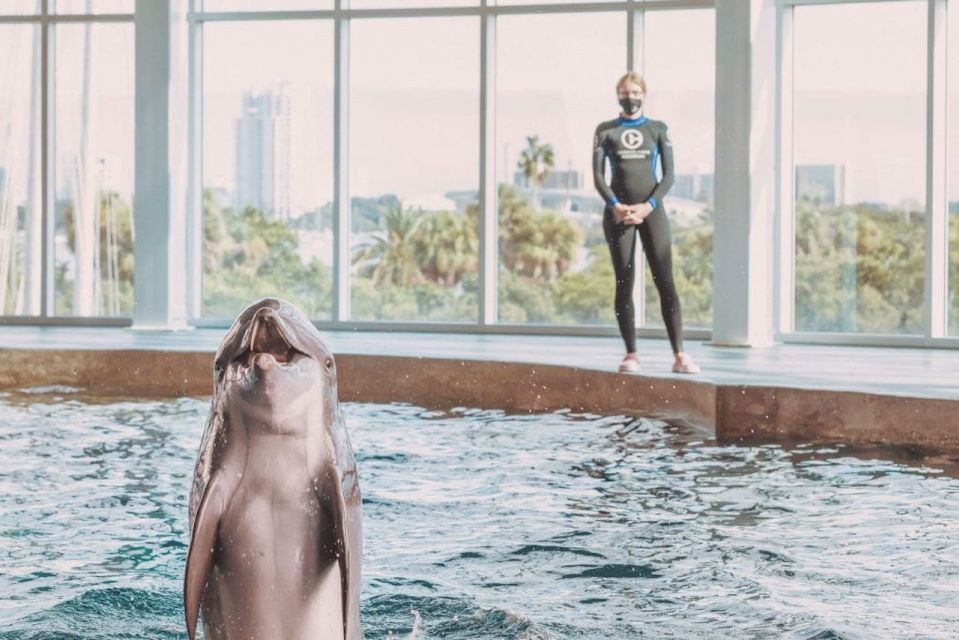 Clearwater: Eco-Certified Marine Aquarium General Admission - Educational Exhibits and Experiences