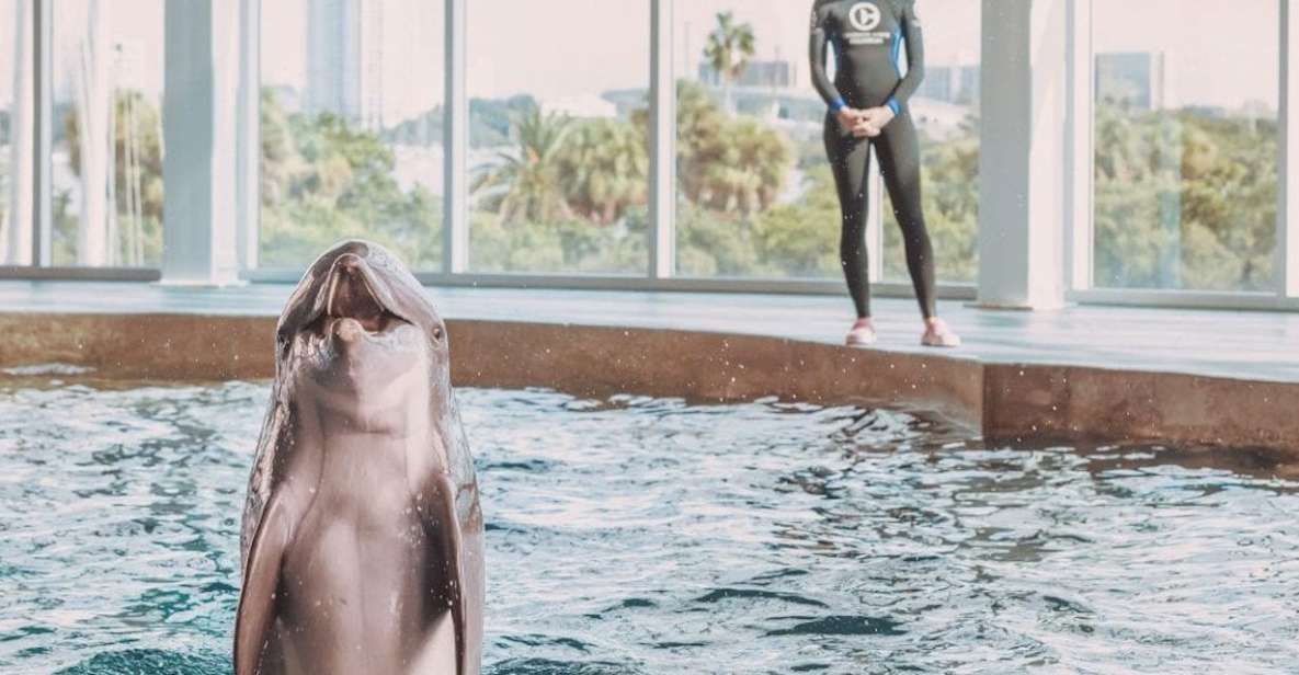 Clearwater: Eco-Certified Marine Aquarium General Admission - Boat Tour of Clearwater Bay