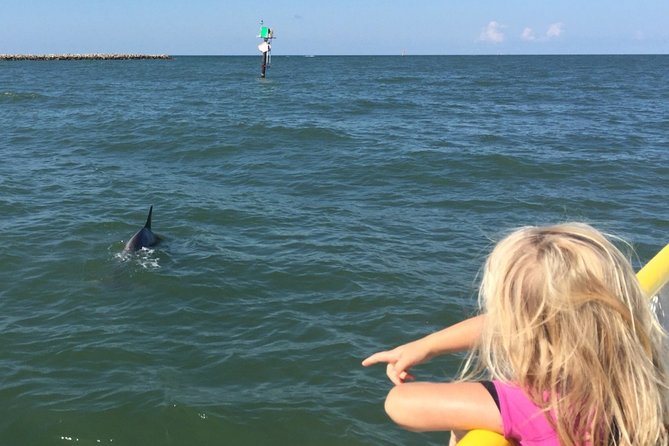 Clearwater Encounters With Dolphins Tour - Reviews