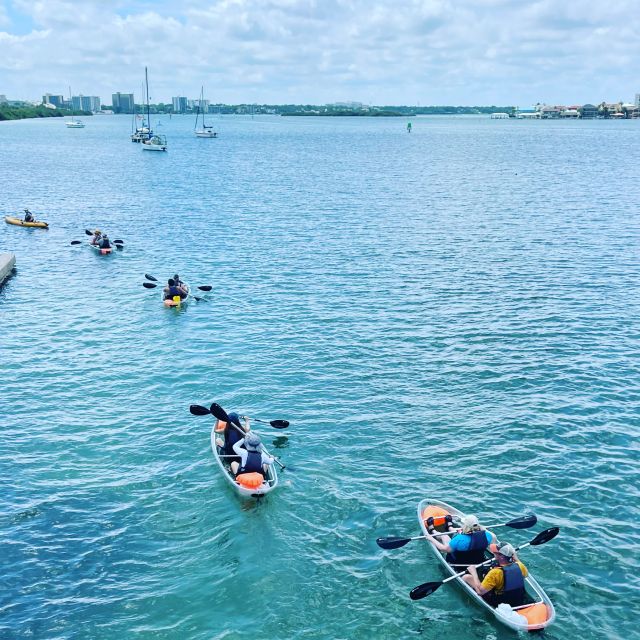 Clearwater: Guided Kayaking Tour - Key Points