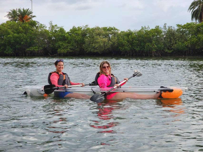 Clearwater: Guided Kayaking Tour - Scenic Coastal Views