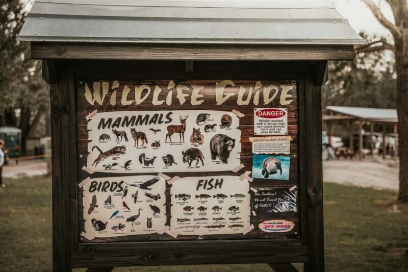 Clermont: Single-seat ATV Quad Bike Adventure - The Sum Up