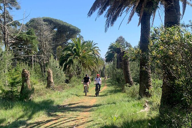 Cliff Top Ride - The Sum Up: A Worthwhile Ride for Curious Explorers