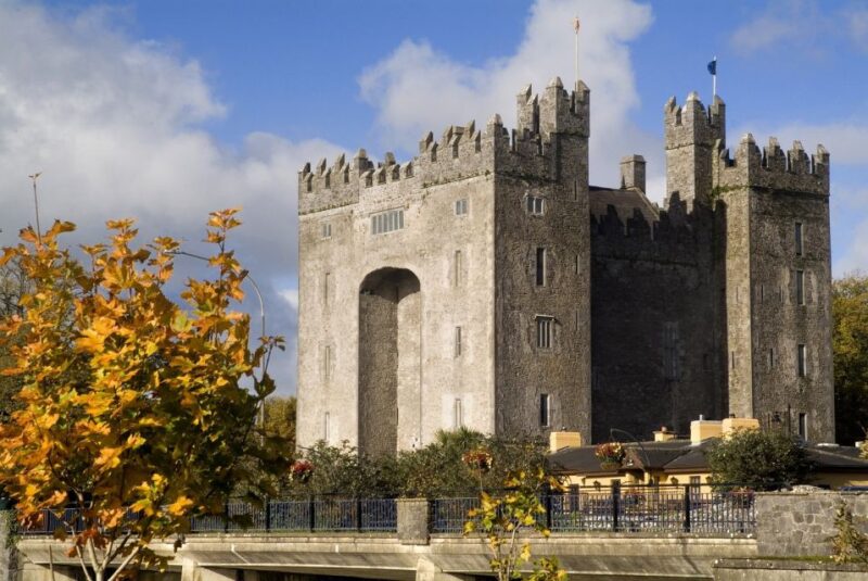Cliffs of Moher and More: Full-Day Tour From Cork - Inclusions and Exclusions