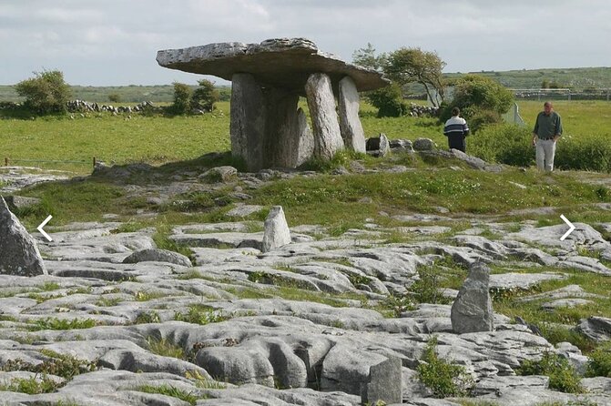 Cliffs of Moher and the Burren Private Tour From Dublin - Pickup and Accessibility Information