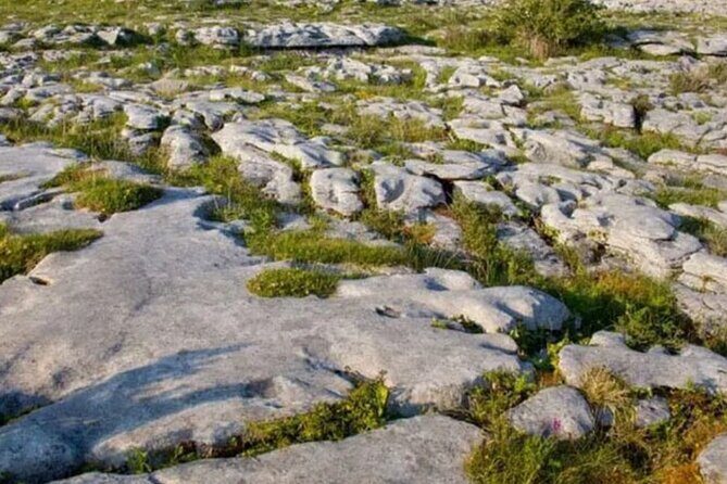 Cliffs of Moher, Burren and Galway 2 Days Private Chauffeur Tour - Key Points