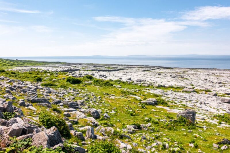 Cliffs of Moher & the Burren Tour From Galway - Good To Know