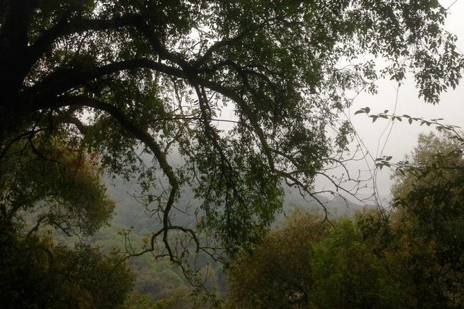 Cloud Forest Hiking - Customizable Hike Experiences