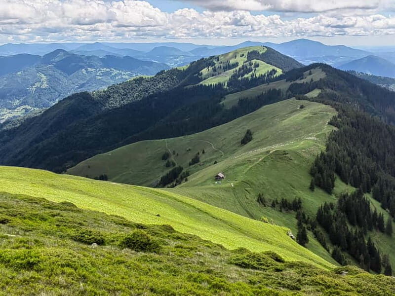 Cluj Napoca: Rodnei Mountains Full-Day Guided Hiking Tour - Key Points