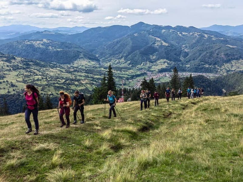 Cluj Napoca: Rodnei Mountains Full-Day Guided Hiking Tour - Exploring the Rodnei Mountains: An Overview