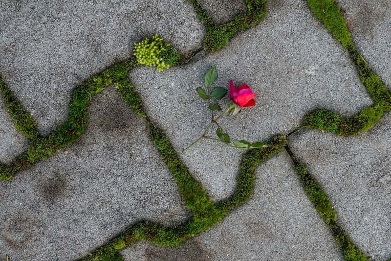 Cluj-Napoca Urban Photography for Beginners Workshop - Who Should Consider This Experience?