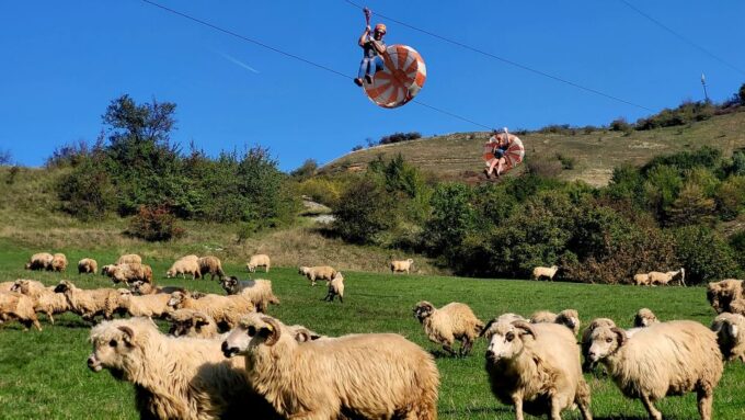 Cluj: Outdoor Activities Day Trip With Zip Line and Hike - Customer Reviews