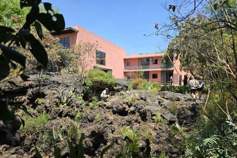 CMDX: Luis Barragan Legacy Exclusive Tour at Casa Pedregal - Introduction: A Taste of Barragán’s Artistic Legacy