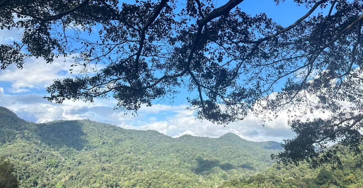 Cnx: Trekking & Villager Living in Forest, Tea& Coffee Farm - Key Points