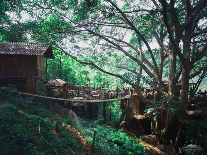 Cnx: Trekking & Villager Living in Forest, Tea& Coffee Farm - Pricing and Reservations