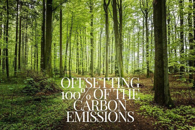 CO2-Offset Departure Private Transfer Cefalù to Palermo Airport - The Sum Up