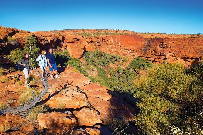 Coach Transfer from Ayers Rock (Uluru) to Kings Canyon - An In-Depth Look at the Transfer Experience