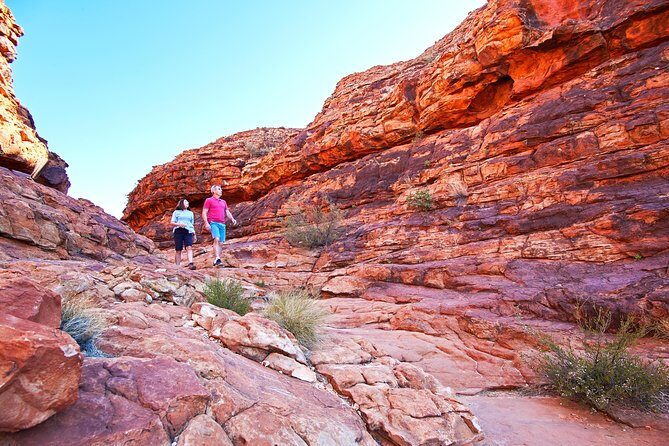 Coach Transfer from Kings Canyon Resort to Ayers Rock (Uluru) - The Journey: What You Can Expect