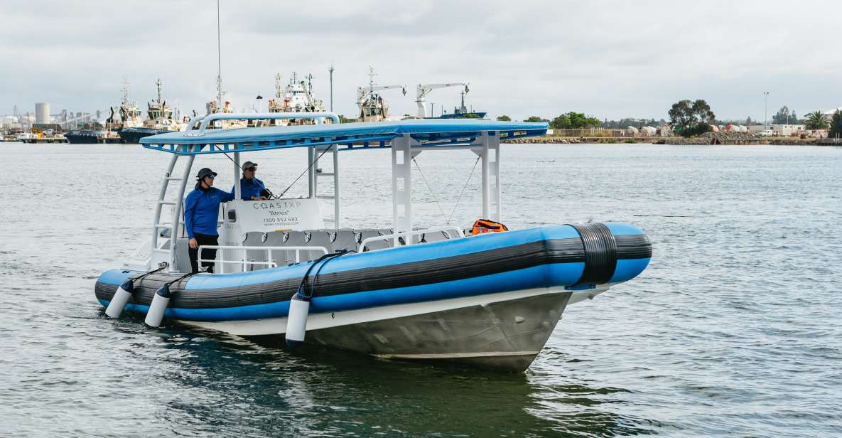 Coastal 2.5-Hour Adventure Boat Tour From Newcastle - Pricing and Duration