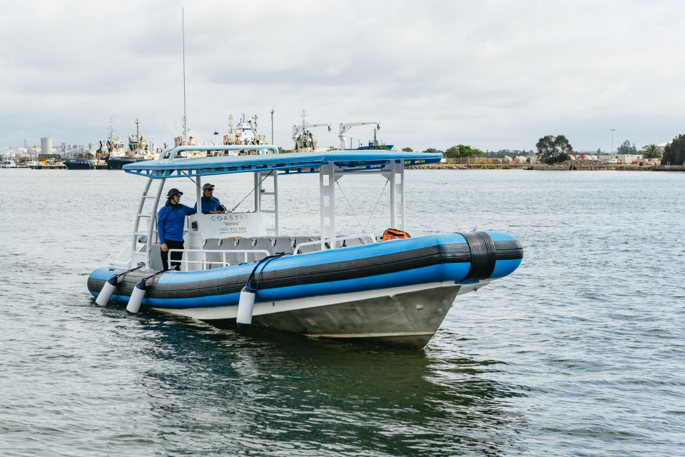 Coastal 2.5-Hour Adventure Boat Tour From Newcastle - Tour Highlights