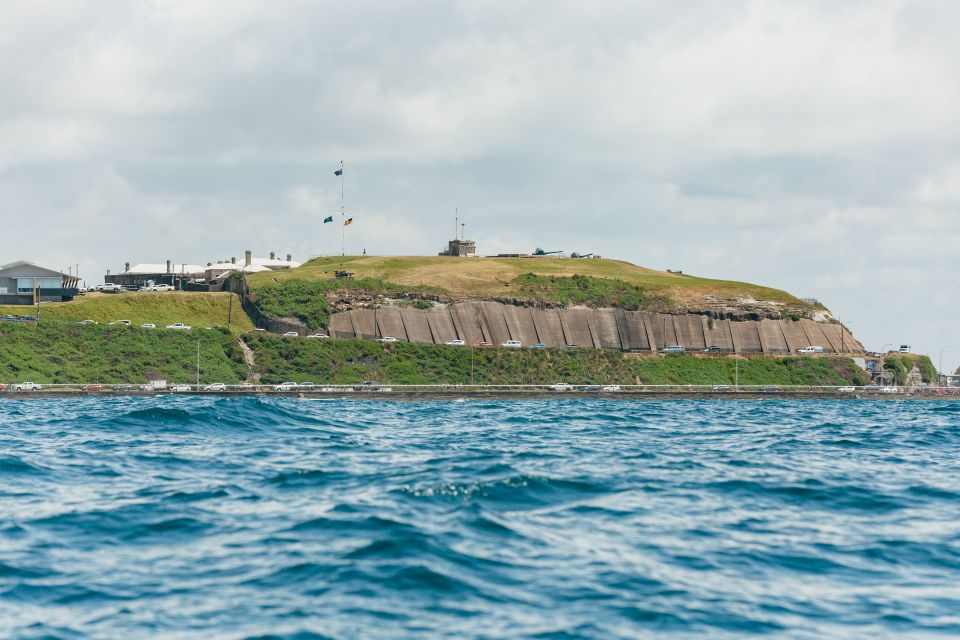 Coastal 2.5-Hour Adventure Boat Tour From Newcastle - Booking Information