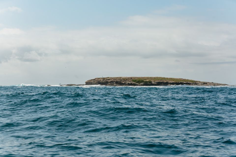 Coastal 2.5-Hour Adventure Boat Tour From Newcastle - Important Details