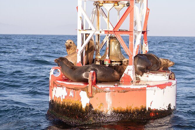 Coastal Cruise on Yacht in Santa Barbara - Key Points