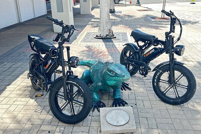 Coastal E-Bike Adventure: Full-Day Self-Guided Tour Grand Cayman - An In-Depth Look at the Tour