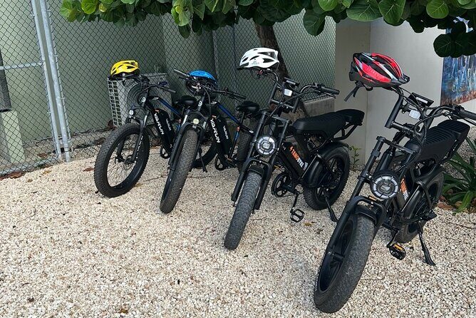 Coastal E-Bike Adventure: Full-Day Self-Guided Tour Grand Cayman - The Sum Up