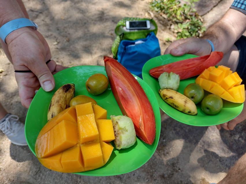 Coastal Gems Expedition With a Certified Tour Guide - Playa Las Ánimas: Coastal Splendor