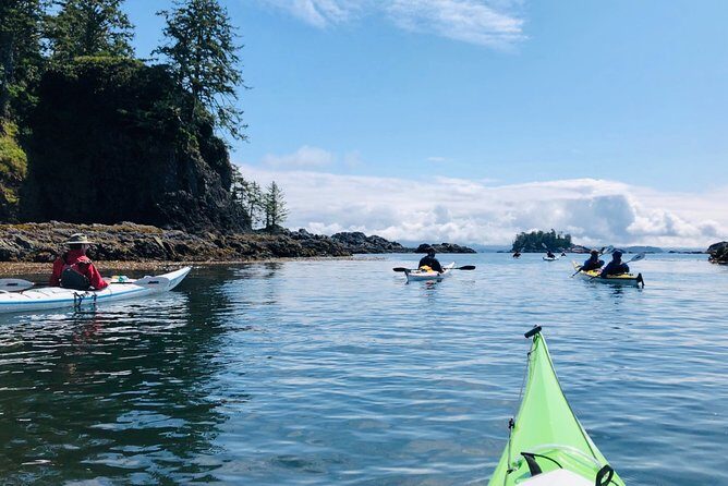 Coastal Waters Full Day Kayaking Tour - Exploring Vancouver Island from the Water: What to Expect