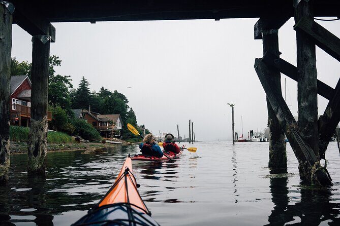 Coastal Waters Full Day Kayaking Tour - Is This Tour for You?