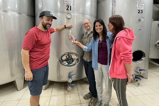 Coastal Winery Camino Trail Walking Tour From San Sebastian - Tour Details