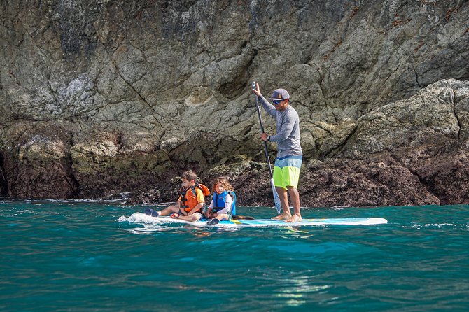 Coastline Paddle Board Tour - Safety and Accessibility Information